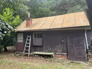 Pronájem sadu/vinice, Praha - Točná, Ke starému hřišti, 3842 m2