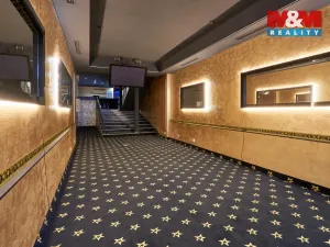 Pronájem obchodního prostoru, Uherský Brod, Moravská, 205 m2