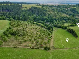 Prodej louky, Radiměř, 209373 m2