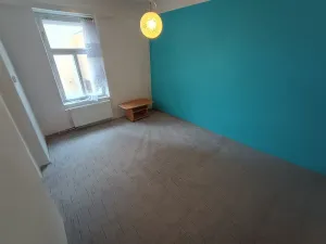 Pronájem vícegeneračního domu, Nepomuk, 280 m2
