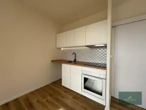 Pronájem bytu 1+kk, Plzeň, alej Svobody, 34 m2