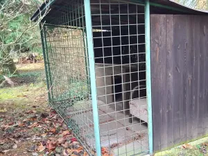 Prodej vily, Plzeň, Jesenická, 200 m2