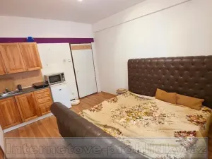 Pronájem pokoje, Praha - Holešovice, Bubenská, 18 m2