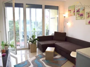 Pronájem bytu 1+kk, České Budějovice - České Budějovice 2, Fr. Ondříčka, 29 m2