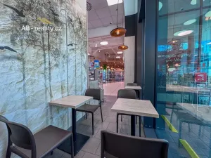 Prodej obchodního prostoru, Teplice, Čs. dobrovolců, 53 m2