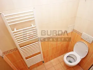 Pronájem bytu 1+kk, Neratovice, 19 m2