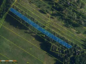 Prodej lesa, Dolní Vilémovice, 1844 m2