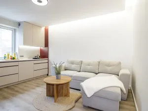 Prodej bytu 2+kk, Ostrava, Čujkovova, 29 m2