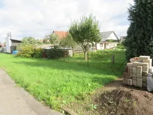 Dražba zahrady, Dobruška, 294 m2