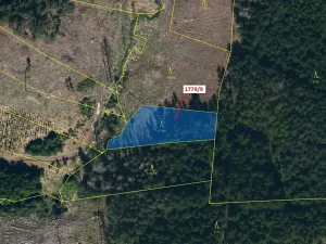 Dražba lesa, Žirovnice, 1388 m2