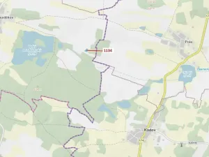 Dražba lesa, Hradiště, 1083 m2