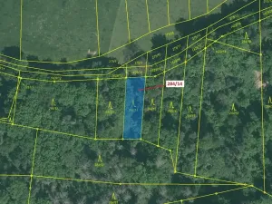 Dražba lesa, Milavče, 441 m2