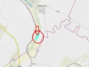 Prodej lesa, Jeníkovice, 12606 m2