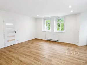 Pronájem bytu 1+1, Velké Březno, 47 m2