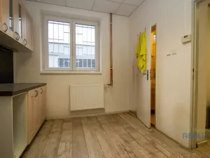 Pronájem skladu, Brandýs nad Labem-Stará Boleslav, 543 m2