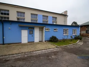 Pronájem výrobních prostor, Brandýs nad Labem-Stará Boleslav, 543 m2