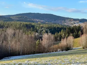 Prodej pozemku pro bydlení, Malšín, 113244 m2