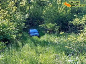 Prodej lesa, Diváky, 6415 m2