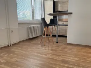 Prodej bytu 1+kk, Ostrava, Heleny Salichové, 27 m2
