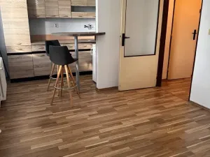 Prodej bytu 1+kk, Ostrava, Heleny Salichové, 27 m2