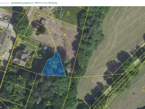 Prodej lesa, Čerčany, 394 m2