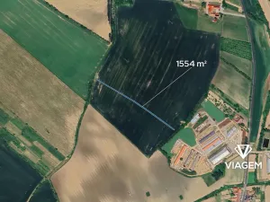 Prodej pole, Morkůvky, 1554 m2