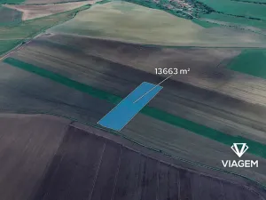 Prodej podílu pole, Smidary, 6831 m2