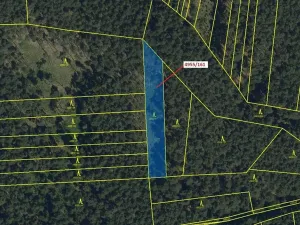 Dražba lesa, Vracov, 1702 m2