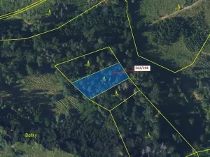 Dražba lesa, Spešov, 1372 m2