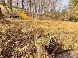 Prodej chaty, Nové Město nad Metují, Leštinská, 29 m2