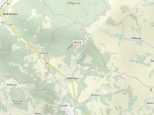 Dražba lesa, Zubrnice, 815 m2