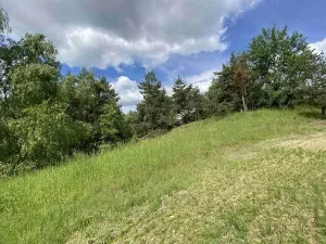 Dražba pozemku, Slavonice, 1831 m2