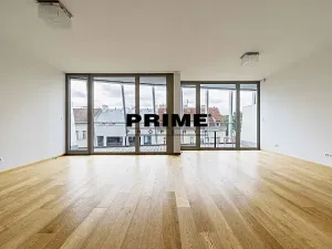 Pronájem bytu 4+kk, Praha - Smíchov, Holečkova, 174 m2