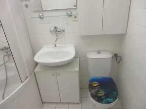 Pronájem bytu 2+kk, Brno, bratří Sapáků, 42 m2