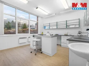 Pronájem komerční nemovitosti, Ústí nad Labem - Severní Terasa, Šrámkova, 181 m2