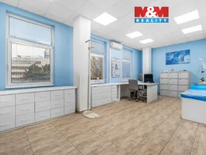 Pronájem komerční nemovitosti, Ústí nad Labem - Severní Terasa, Šrámkova, 32 m2