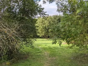 Prodej pozemku pro bydlení, Kladno, Jar. Seiferta, 4912 m2