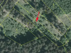 Prodej podílu lesa, Nedašov, 386 m2