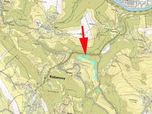 Prodej lesa, Železný Brod, 987 m2