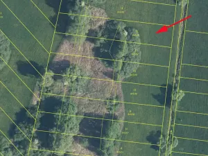 Prodej louky, Cerekvice nad Loučnou, 1811 m2