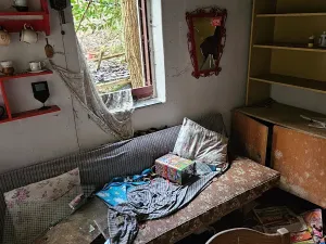 Prodej chaty, Borotice, 26 m2