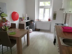 Pronájem bytu 2+1, Teplice, Jankovcova, 62 m2