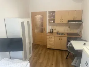 Pronájem bytu 1+kk, Kadaň, Školní, 19 m2