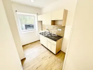 Pronájem bytu 1+1, Opava - Předměstí, Hany Kvapilové, 40 m2