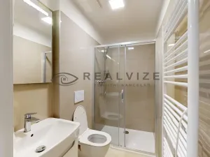 Pronájem bytu 2+kk, České Budějovice, Puklicova, 32 m2