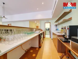 Prodej obchodního prostoru, Mariánské Lázně, Masarykova, 101 m2