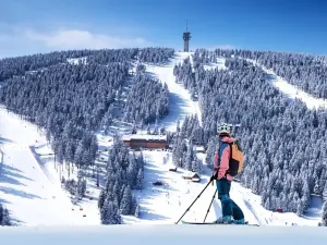 Prodej bytu 1+kk, Loučná pod Klínovcem, 35 m2