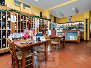 Prodej činžovního domu, Praha - Břevnov, Bělohorská, 515 m2