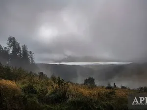 Prodej pozemku pro bydlení, Žítková, 6433 m2