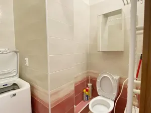 Pronájem bytu 2+1, Praha - Holešovice, U Uranie, 52 m2